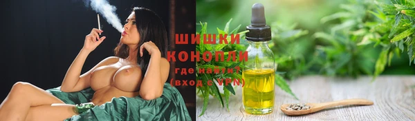 твердый Пересвет