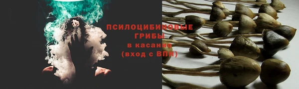 ECSTASY Осинники