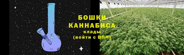 ECSTASY Осинники