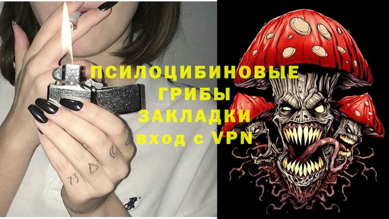 Галлюциногенные грибы Magic Shrooms  Грязи 