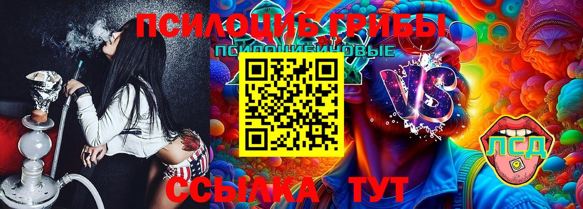 Галлюциногенные грибы Magic Shrooms Грязи