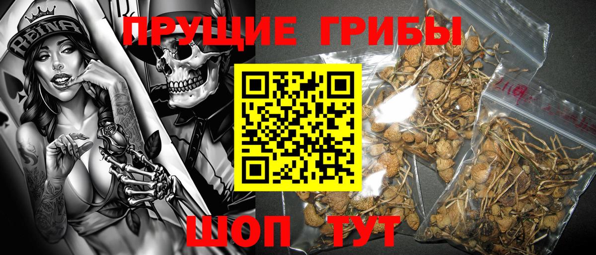 Псилоцибиновые грибы ЛСД Грязи