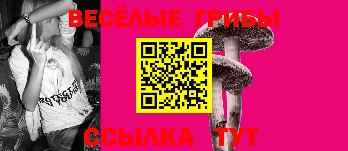Псилоцибиновые грибы MAGIC MUSHROOMS  Вход с VPN  Грязи 